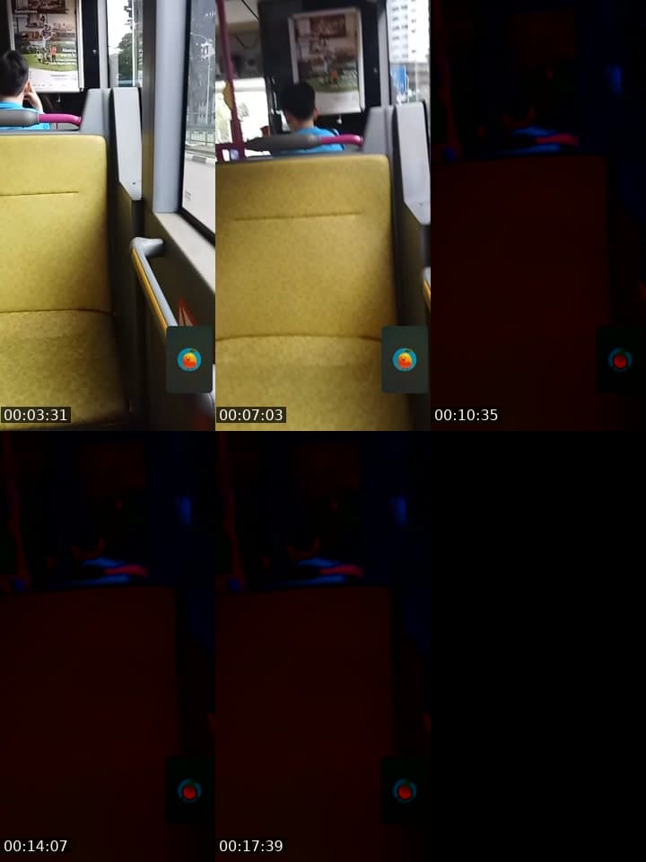 @bearbear11221 TikTok live stream