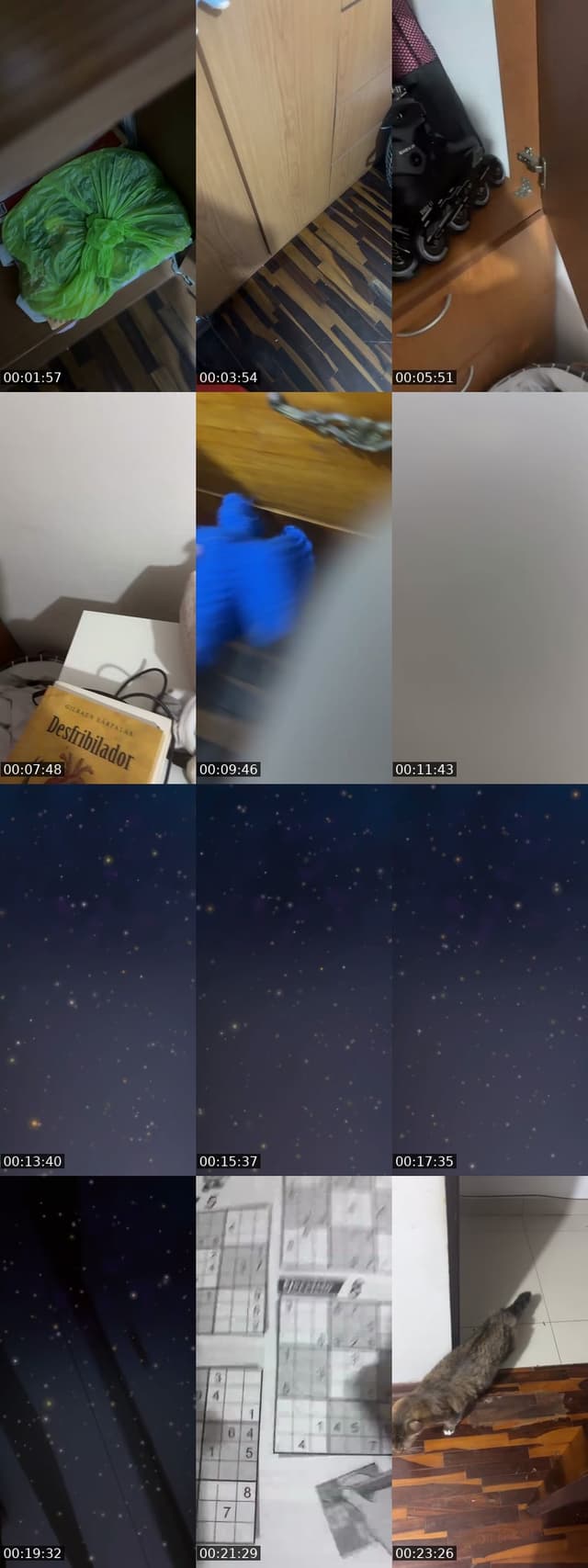@ayla.flores9 TikTok live from 2026-06-10