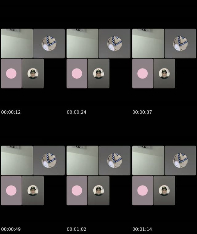 @zgr_xx TikTok live