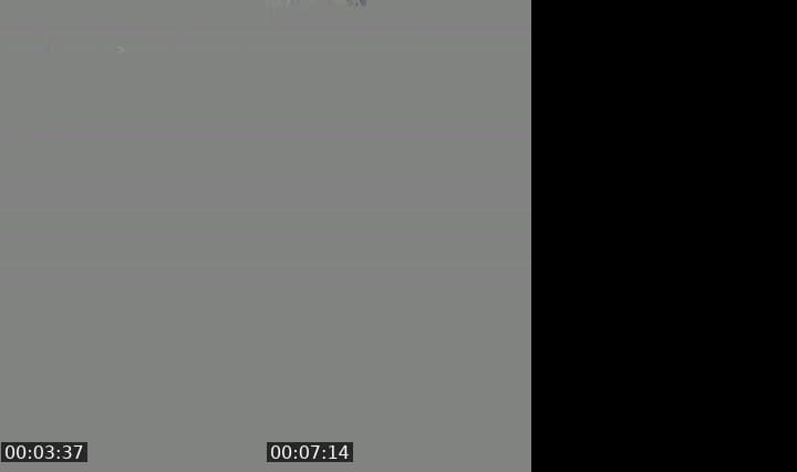 @island6767 TikTok live stream