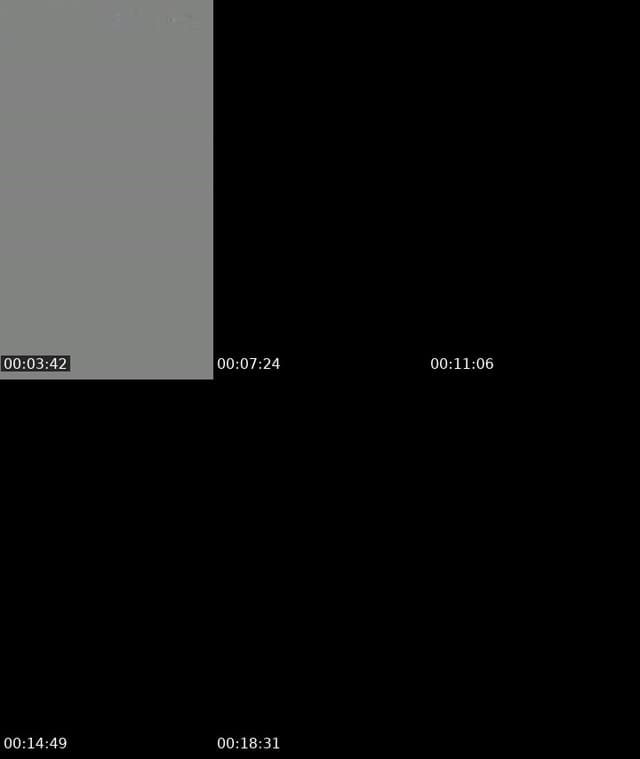 @larusa2904 TikTok live from 2026-06-11