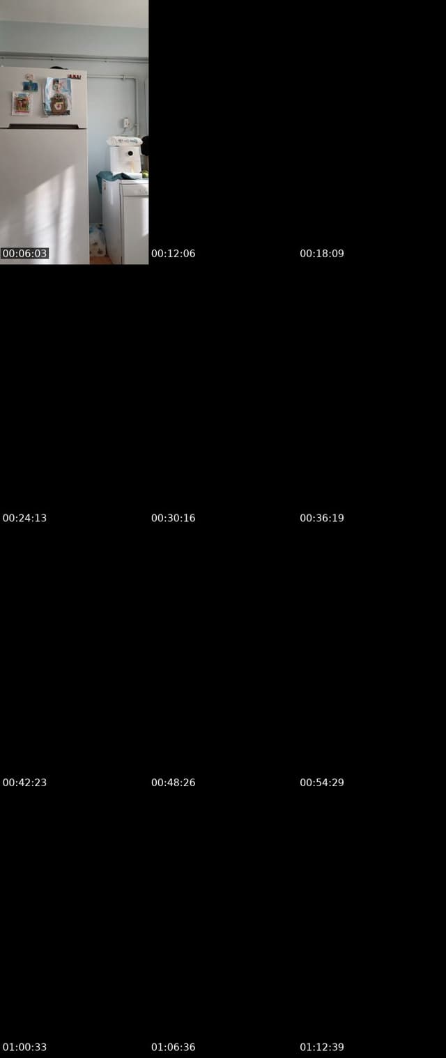 @bal.livee TikTok live from 2026-06-11