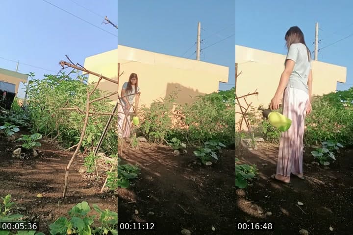 @gela001 TikTok live stream
