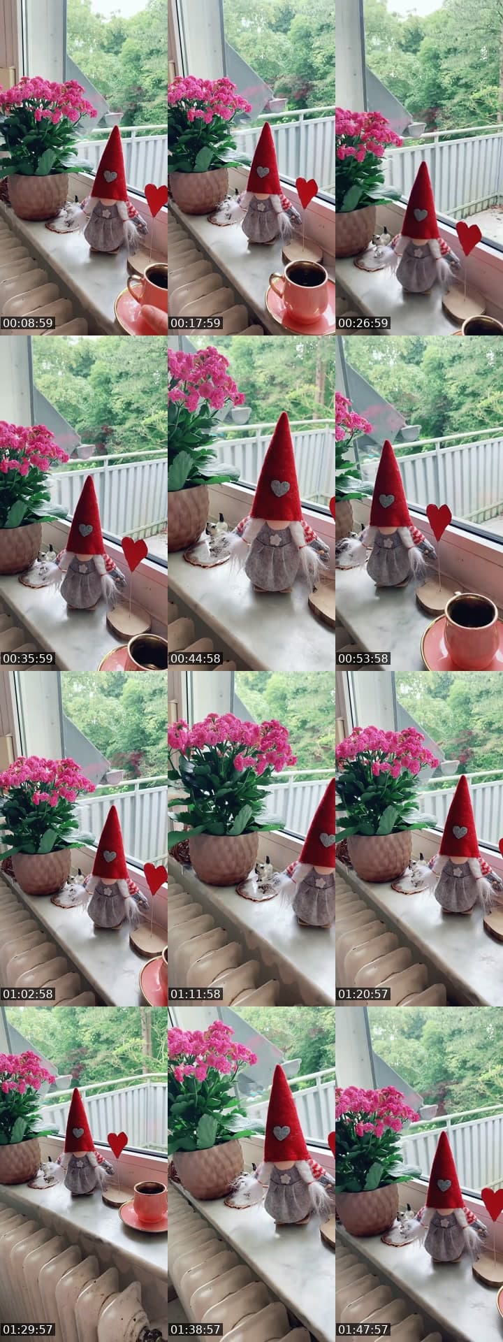 @nuni.1223 TikTok live stream