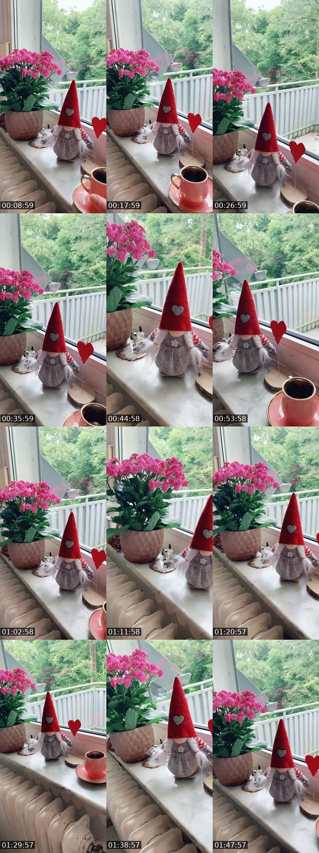 @nuni.1223 TikTok live from 2026-06-12