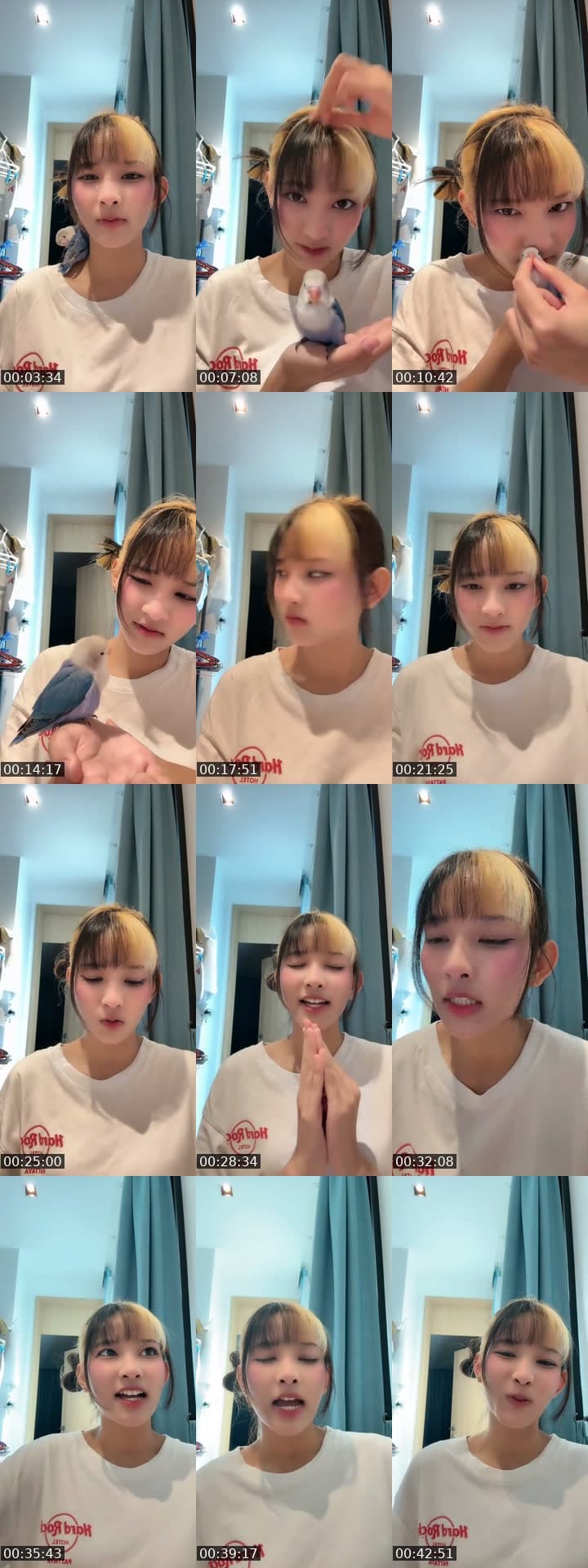 @guschan.zyn TikTok live stream