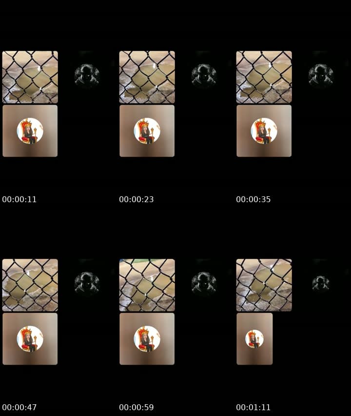 @algorithmhh TikTok live stream