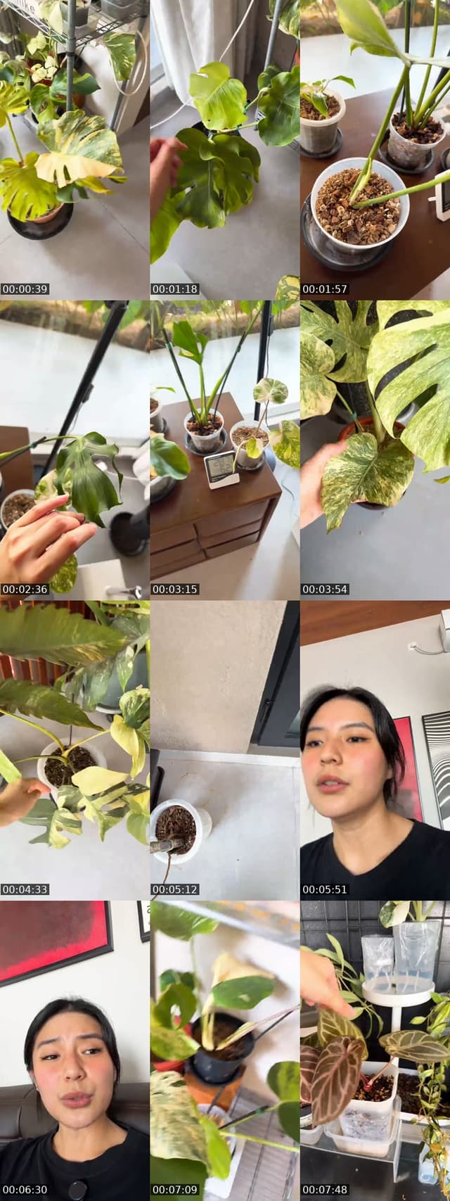 @lalaaiwaa TikTok live