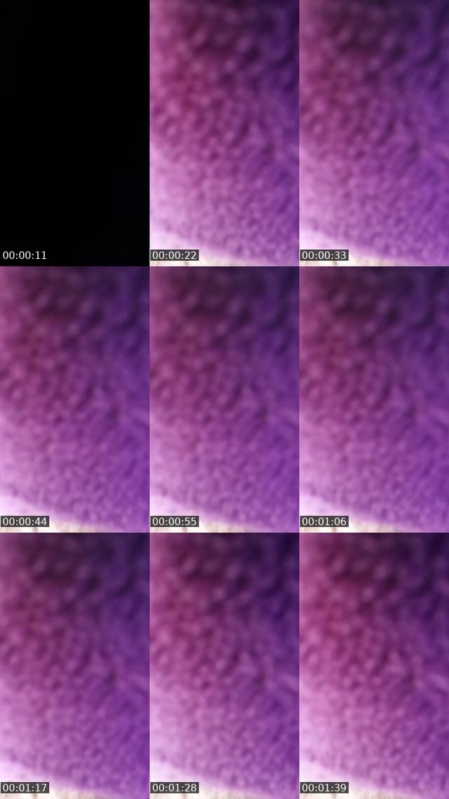 @pebbaknowsbest TikTok live
