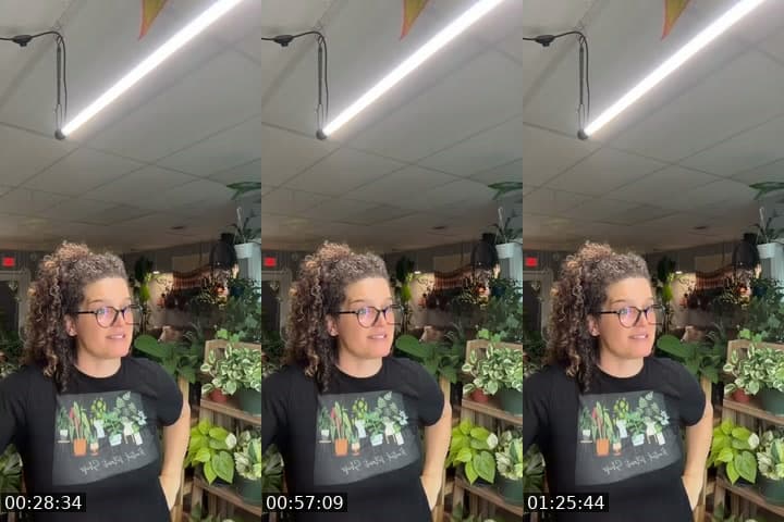 @rootedplantshop TikTok live stream