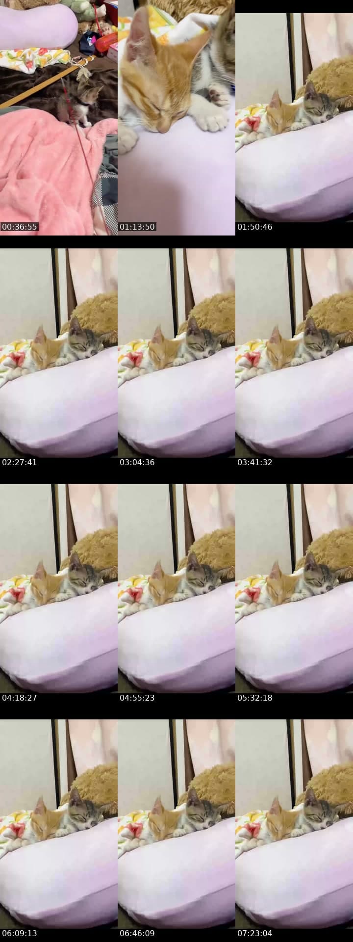 0613新しい家族💝