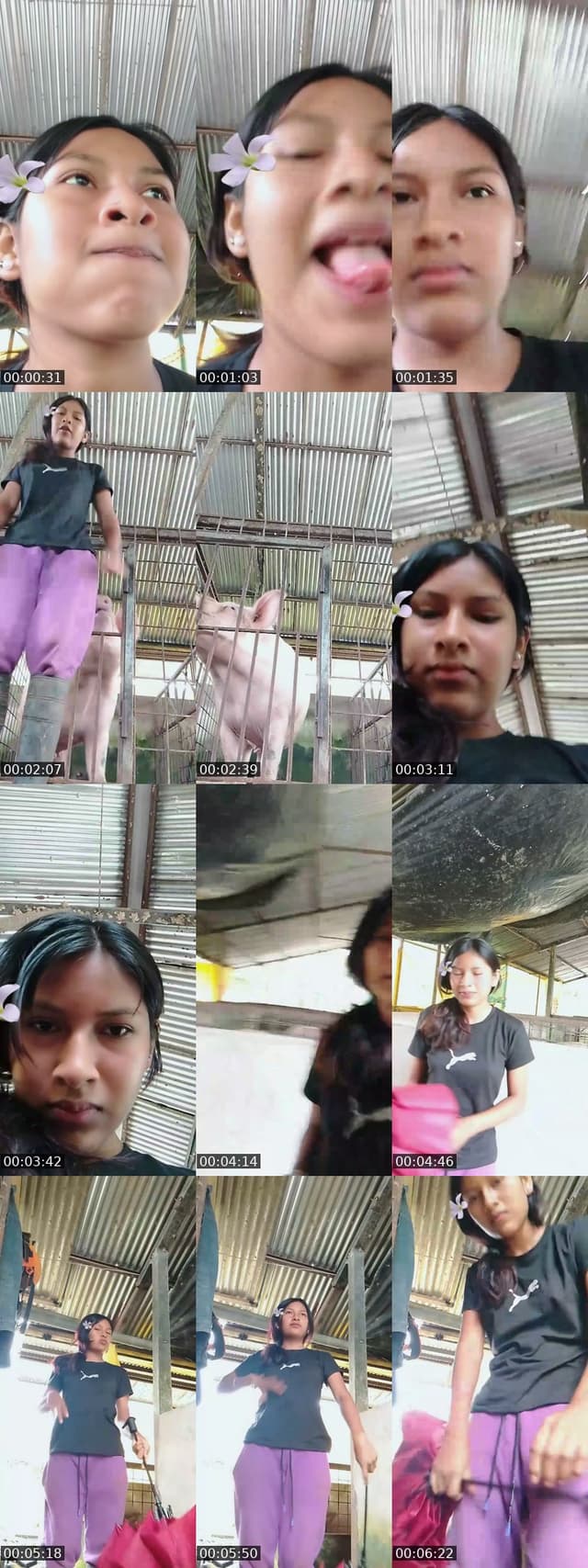 GrilliTos🦗🥺 - @.pepeelpollo3