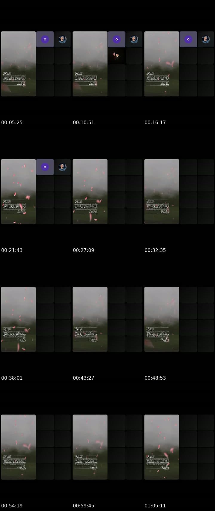 @67ws4 TikTok live stream