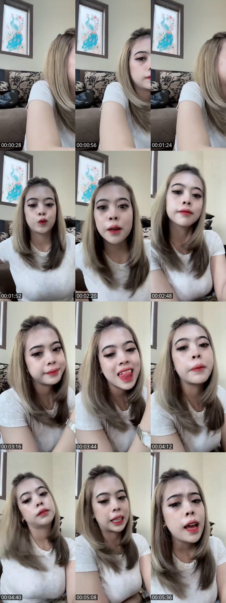 P p apa
