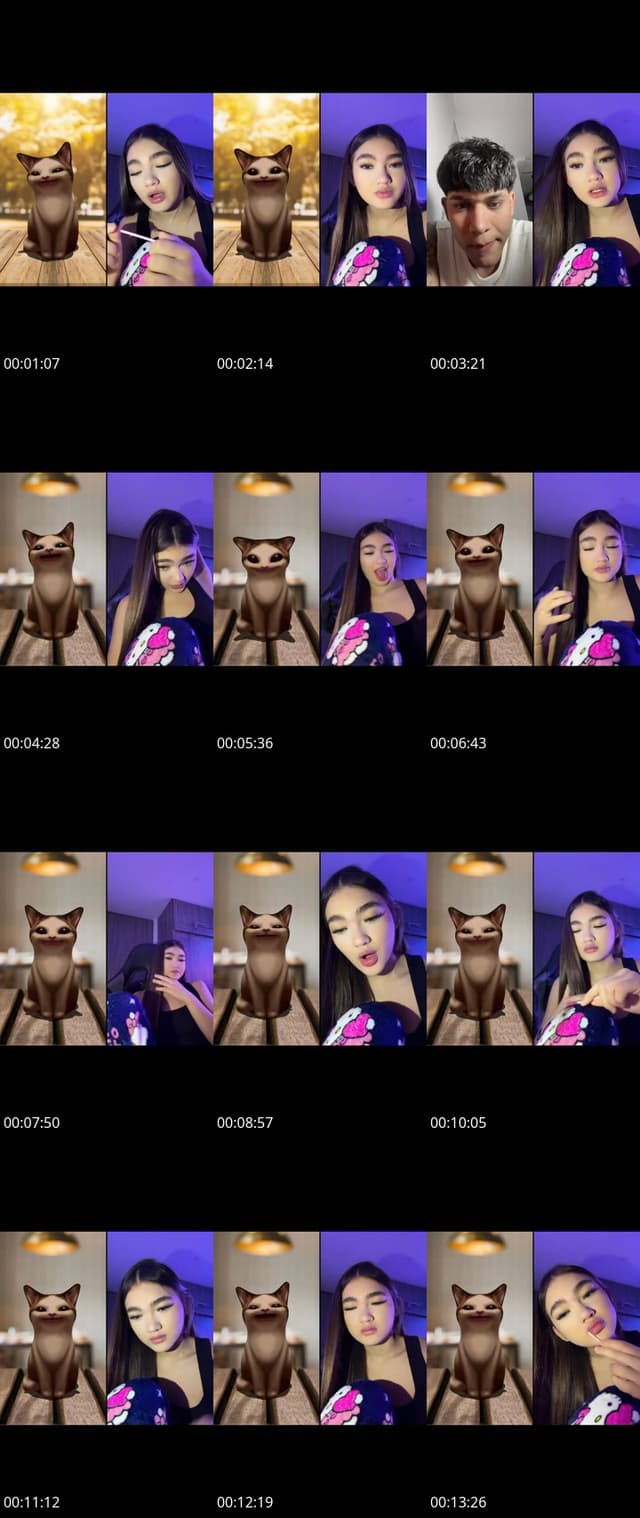 TikTok live: Lleguen by @wilyernz