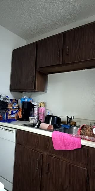 @maissick57 TikTok live from 2026-05-03