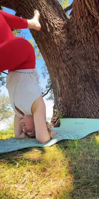 Past TikTok live: New here? Say hi by @blisshouseyoga