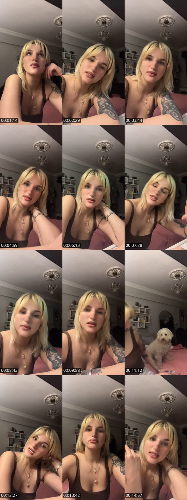 TikTok live: aslanın esi de aslandirr by @busrasariguls
