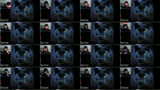TikTok live: noor ali by @alazzawe89