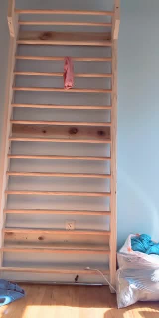 TikTok live: good morning 🌄 by @rodentsuntie2