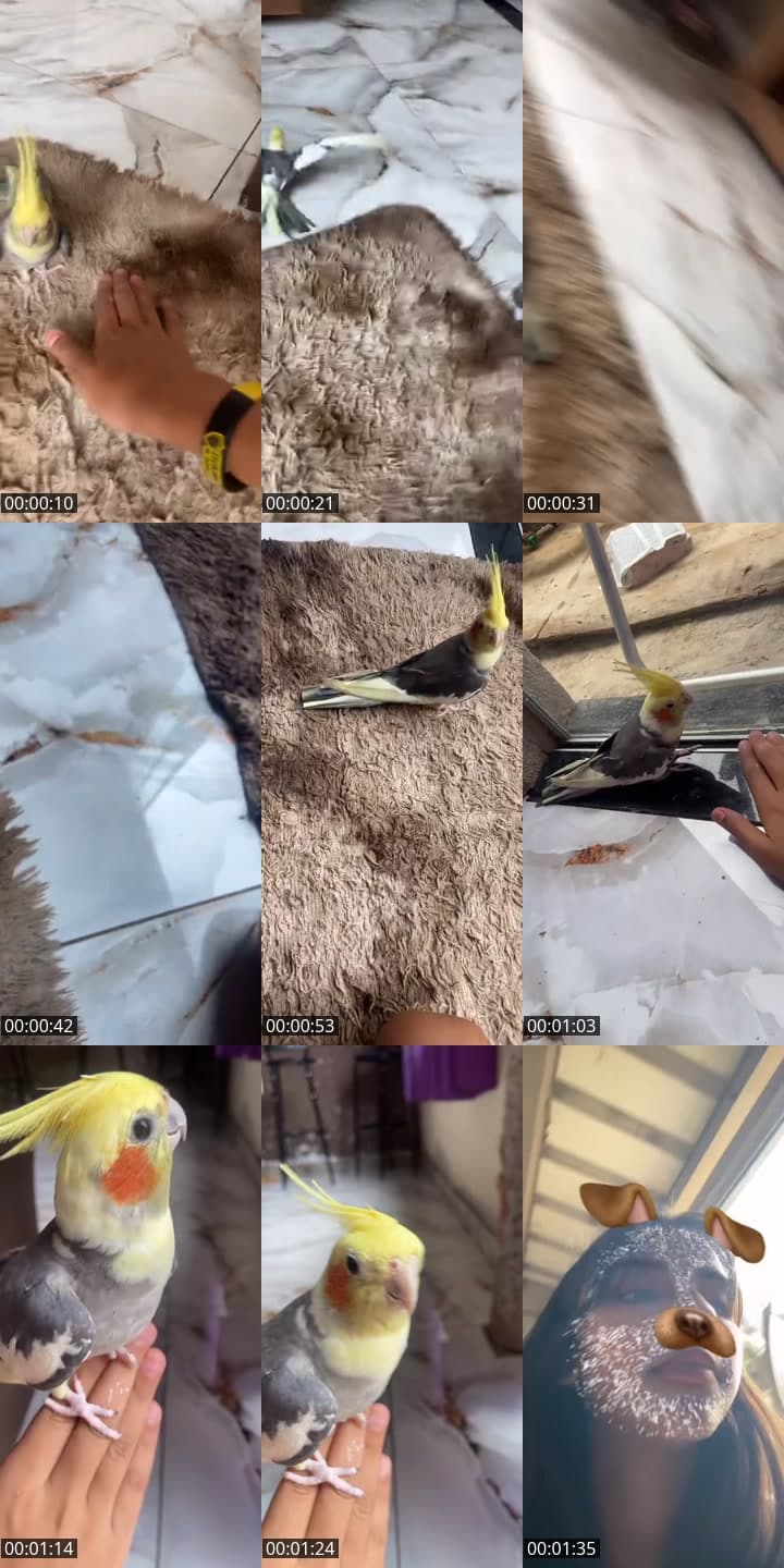 @karambaasophia_ TikTok live stream