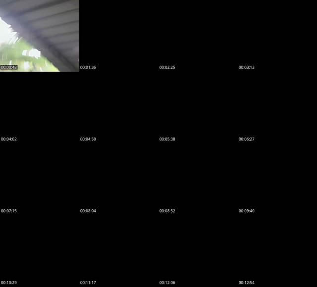 @genesis.oficial16 TikTok live from 2026-05-04