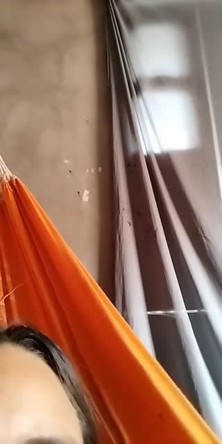 @itsfreefr001 TikTok live stream