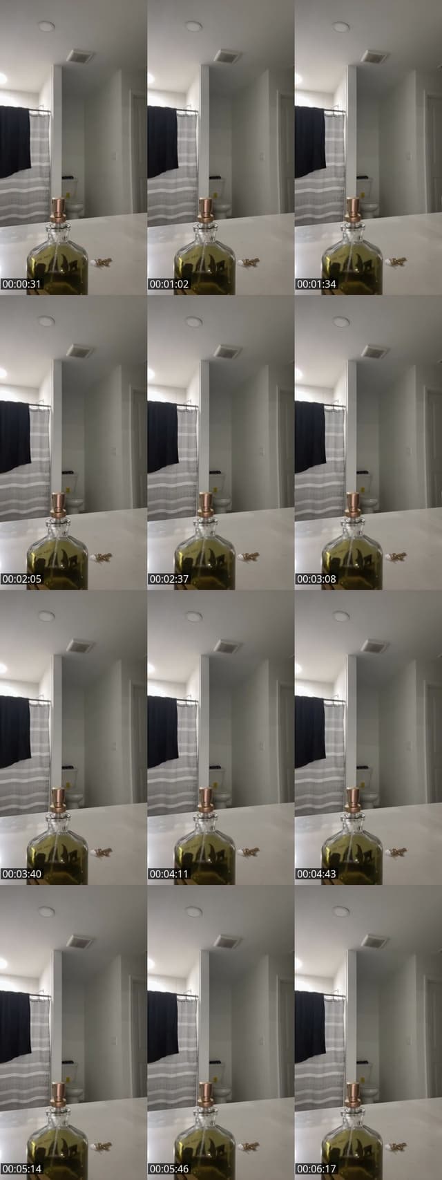TikTok live: IG:Bluee_vixenn by @bluee_vixenn