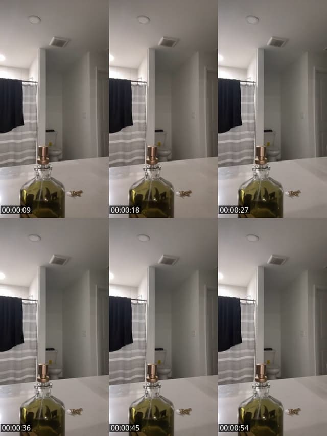 TikTok live: IG:Bluee_vixenn by @bluee_vixenn