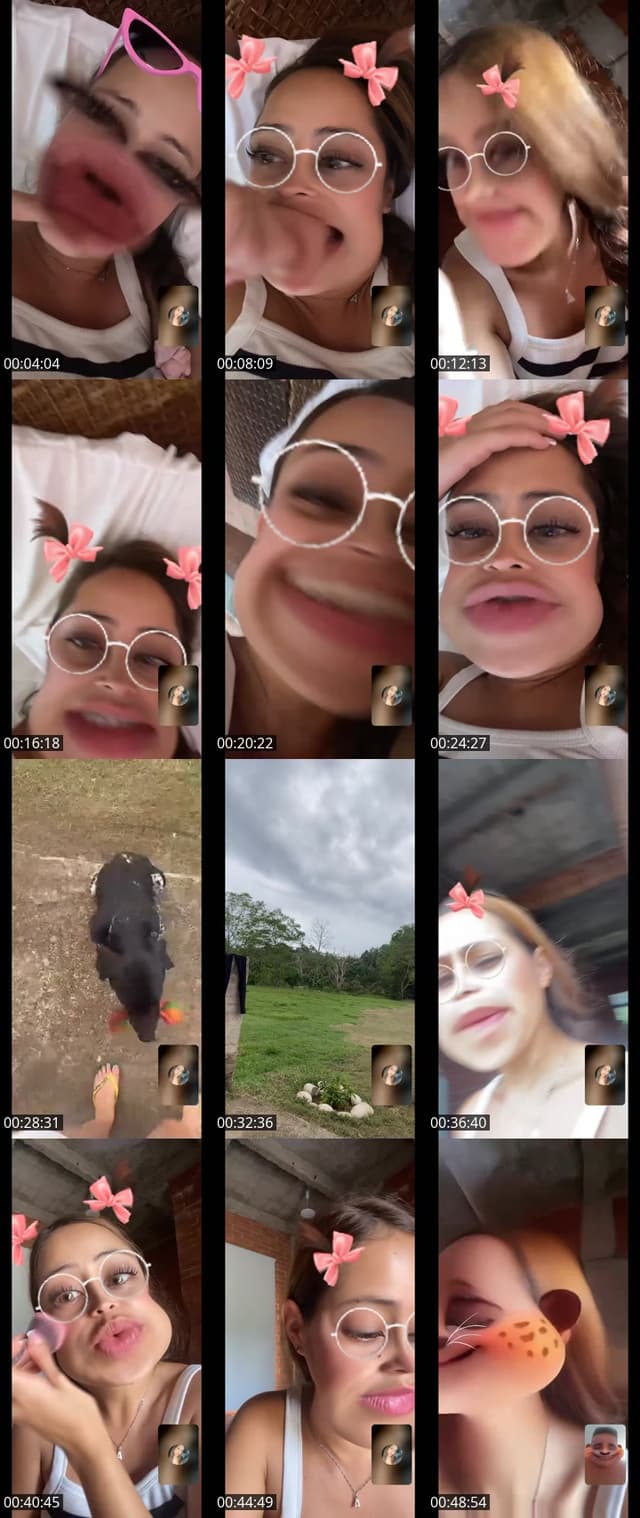 TikTok live: Team pollitos reímos por todo by @ale9421lr