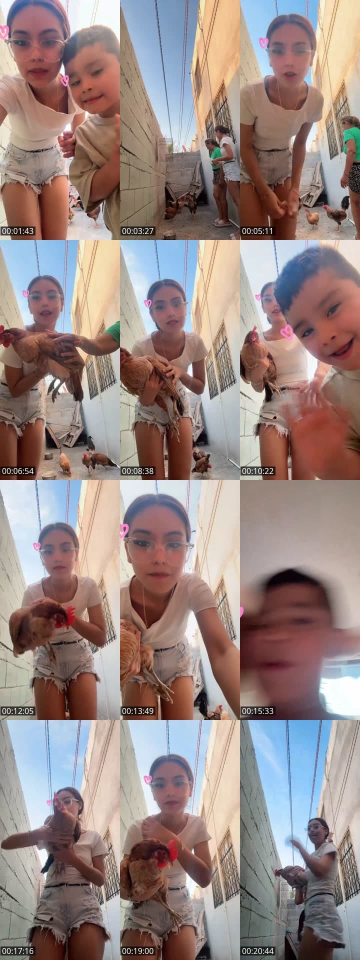 @y.fraga TikTok live stream