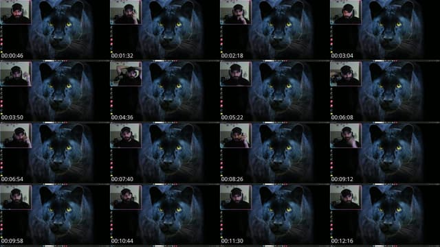 TikTok live: noor ali by @alazzawe89