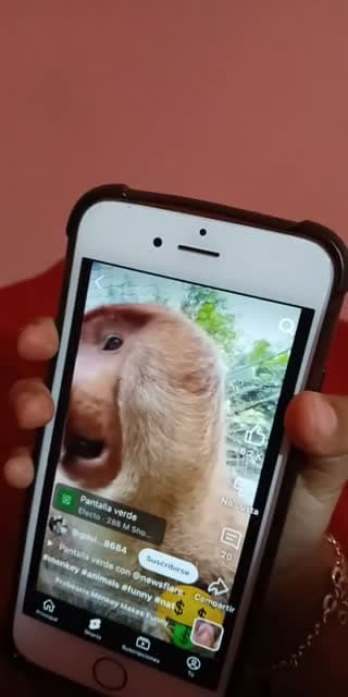 @analop180 TikTok live stream