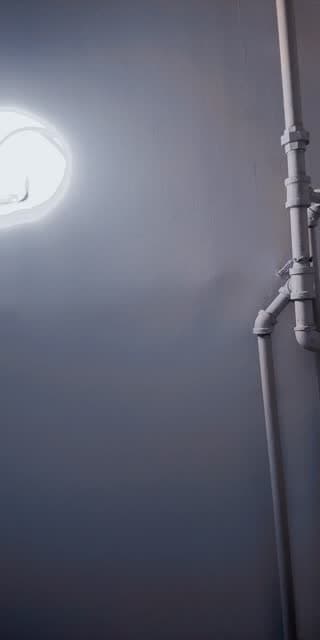 @neidy.fernandez4 TikTok live stream