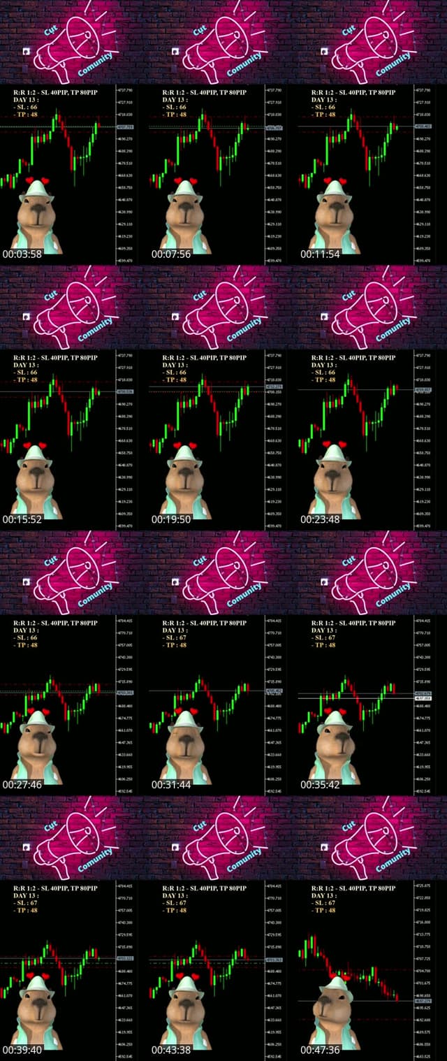 TikTok live: Xích cậu vàng !!! by @capybaramaulua