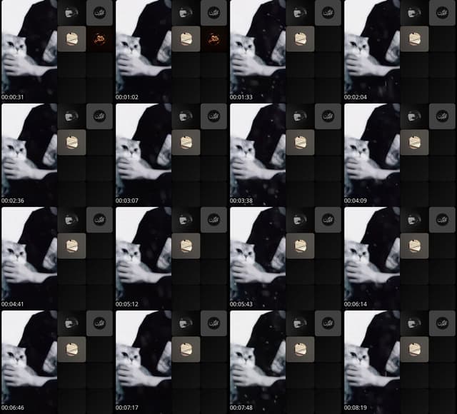 TikTok live: سؤال للمسلم. by @man_7543209