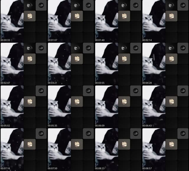 TikTok live: سؤال للمسلم. by @man_7543209