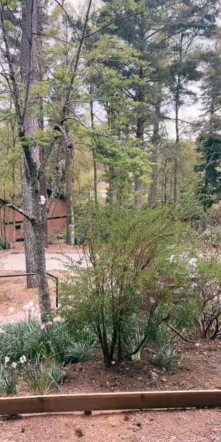 TikTok live: Hi I started to go live by @2boys2bikes2