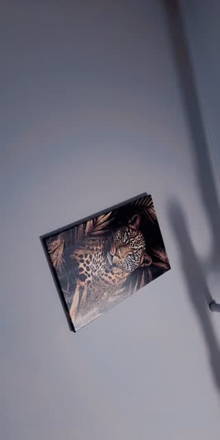 @neidy.fernandez4 past TikTok live from 2026-05-07