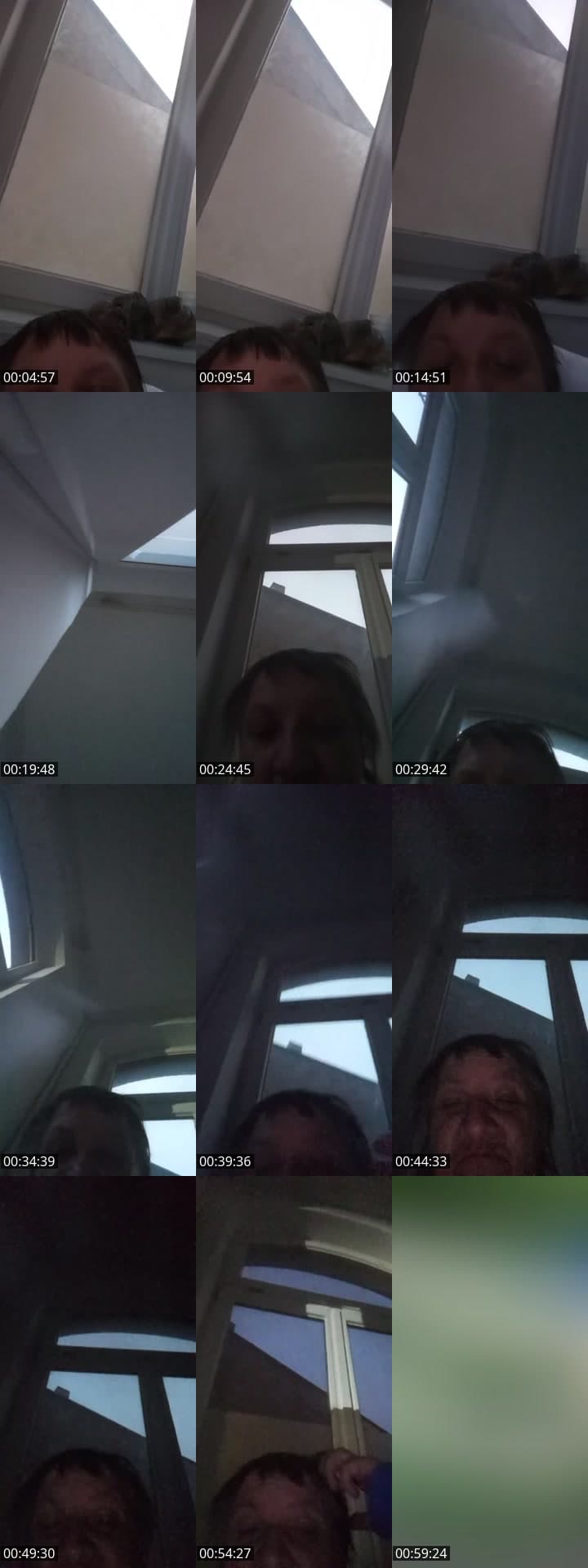 @chanti_bernhards_amazone TikTok live stream