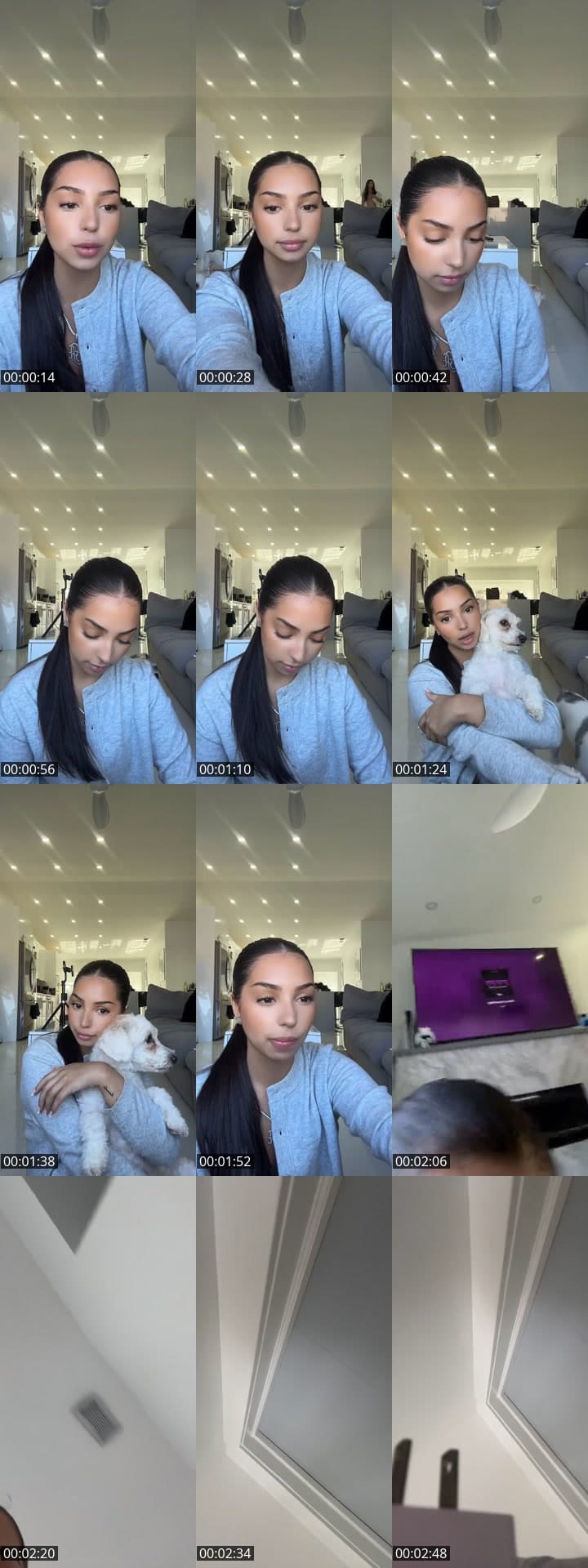 wsp chat💗