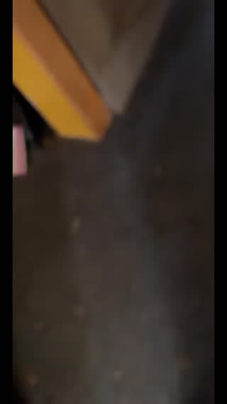 Watch me sleep