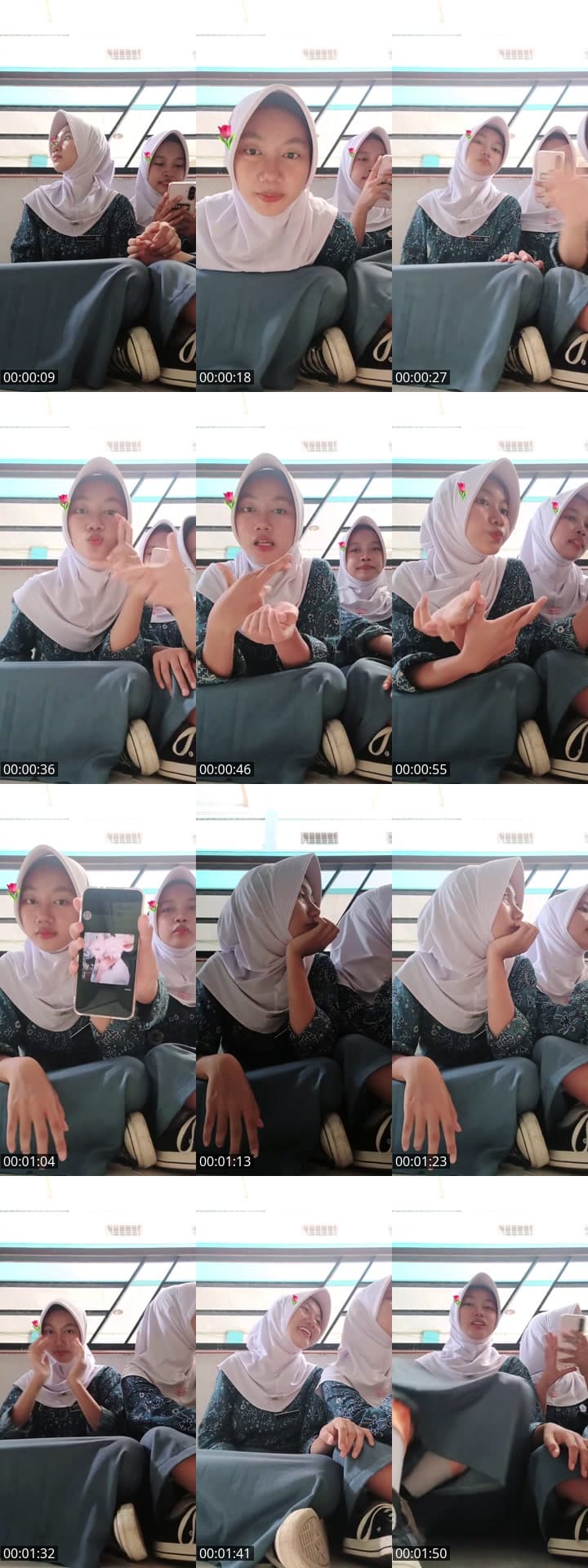haii