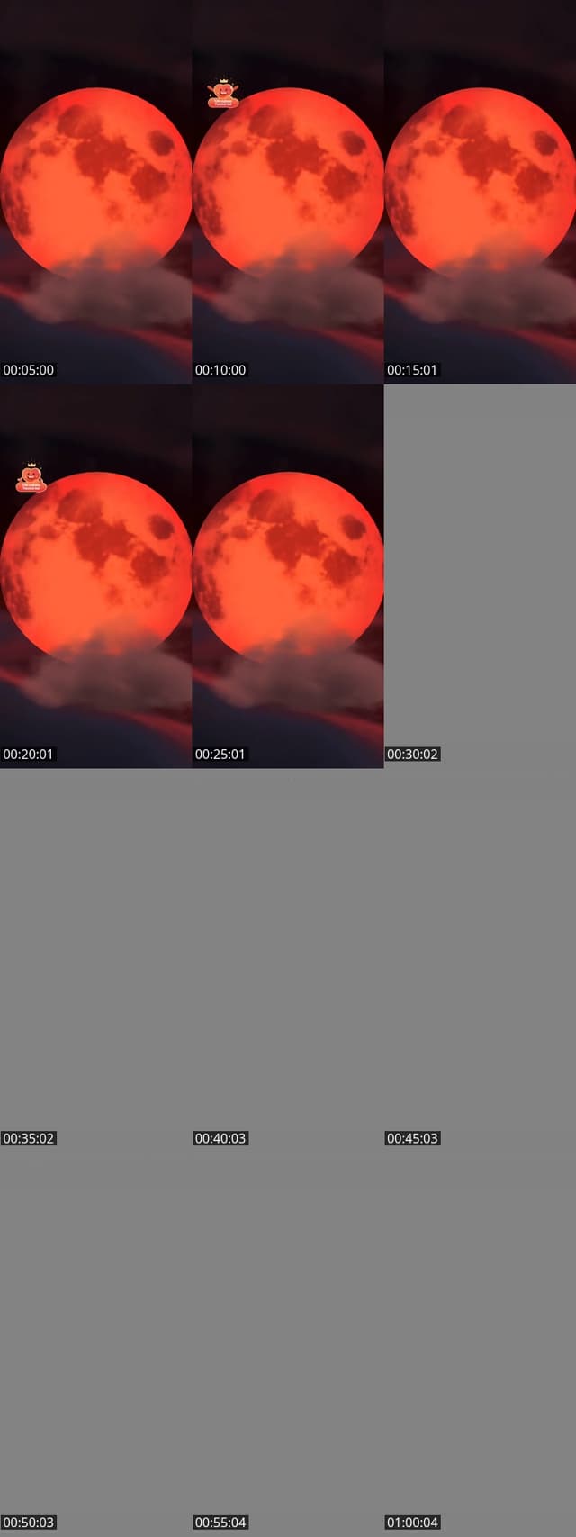TikTok live: Urlaubssupport😁 by @xxxderspender88xxx