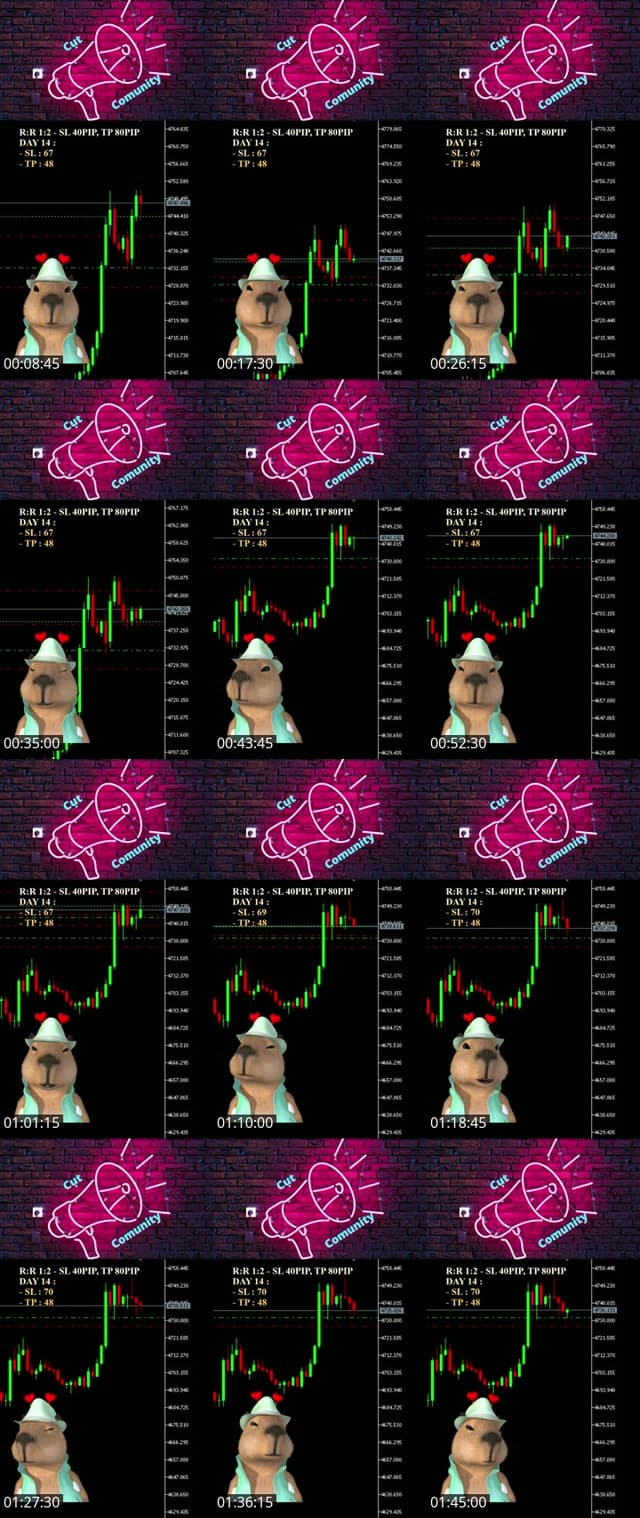 TikTok live: Xích cậu vàng !!! by @capybaramaulua