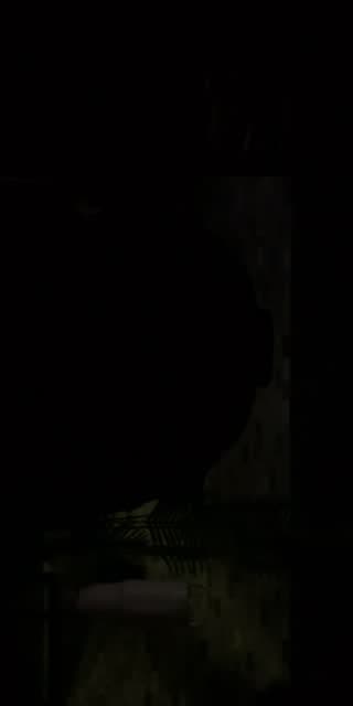 @isabelmontenegro.live TikTok live stream