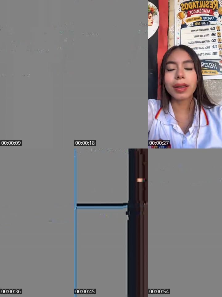 Holi