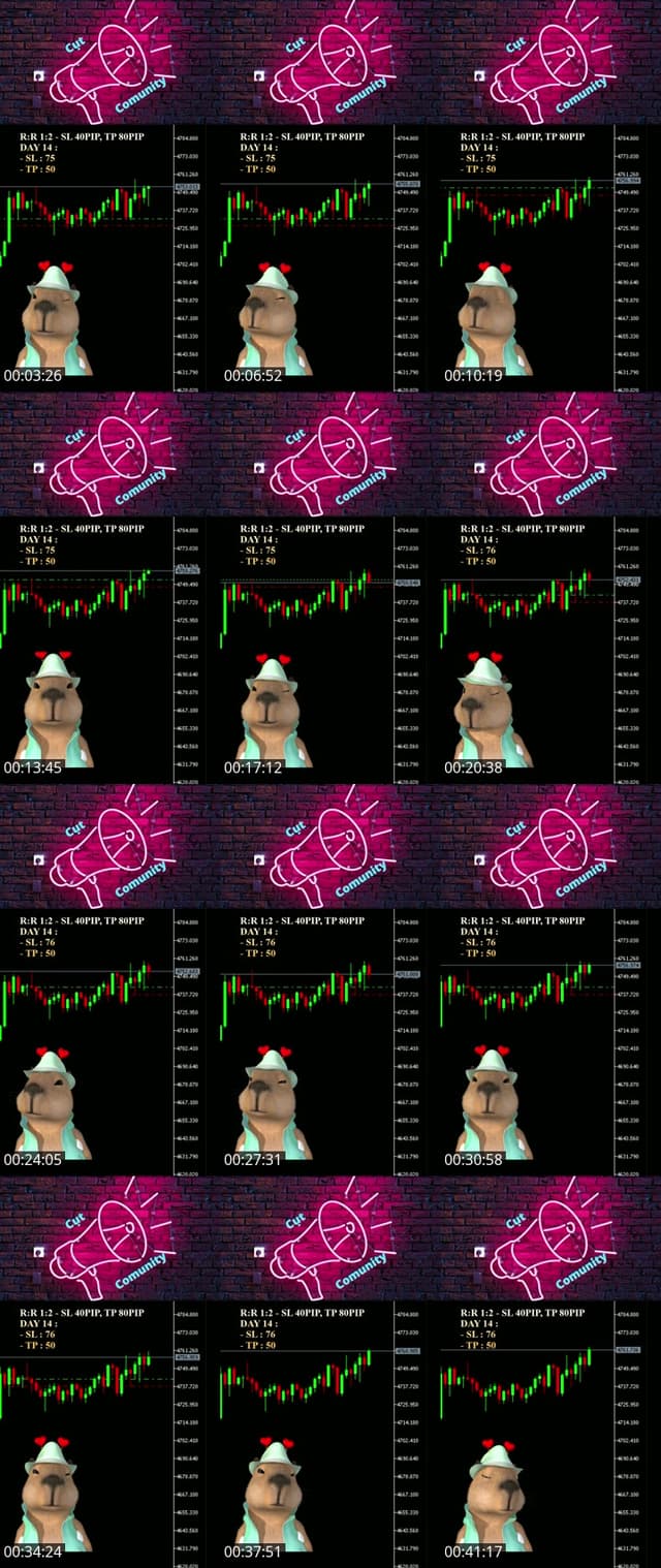 TikTok live: Xích cậu vàng !!! by @capybaramaulua