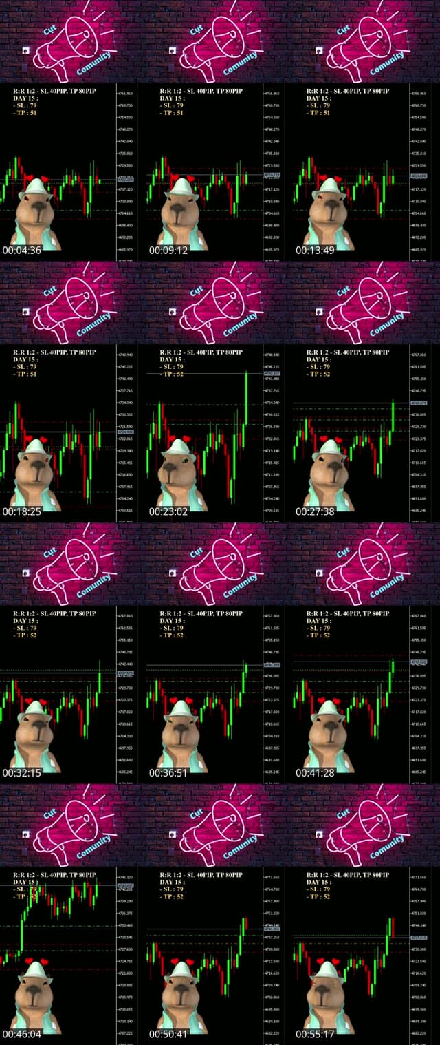 TikTok live: Xích cậu vàng !!! by @capybaramaulua