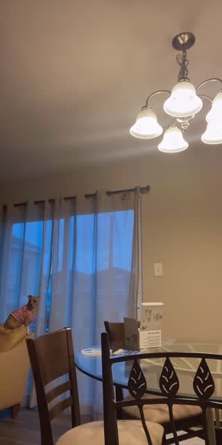 Hai